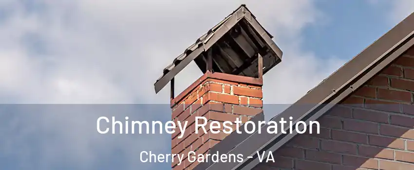 Chimney Restoration Cherry Gardens - VA