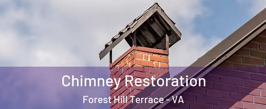 Chimney Restoration Forest Hill Terrace - VA