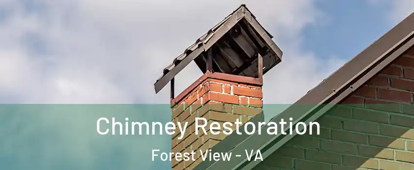 Chimney Restoration Forest View - VA