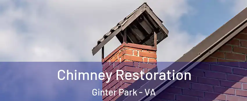Chimney Restoration Ginter Park - VA