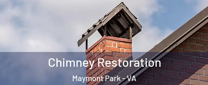 Chimney Restoration Maymont Park - VA