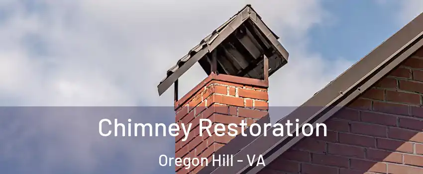 Chimney Restoration Oregon Hill - VA