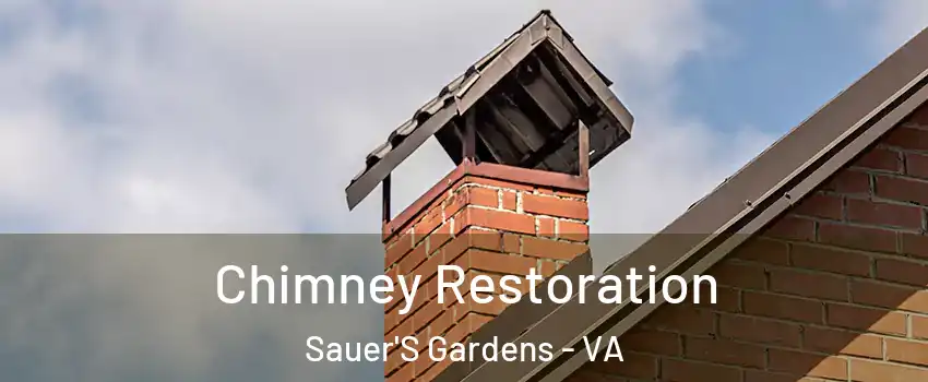 Chimney Restoration Sauer'S Gardens - VA