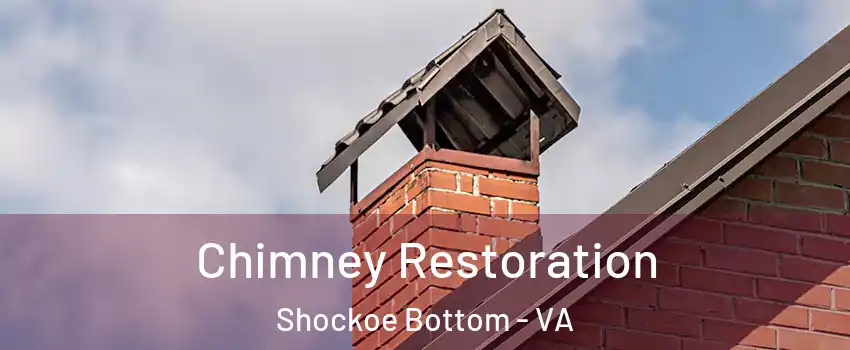 Chimney Restoration Shockoe Bottom - VA