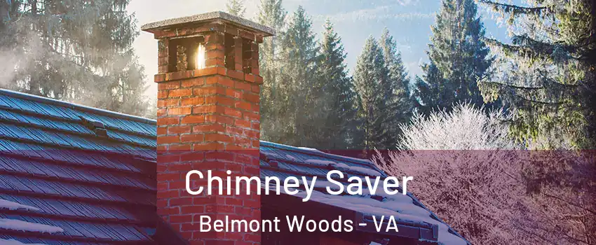 Chimney Saver Belmont Woods - VA