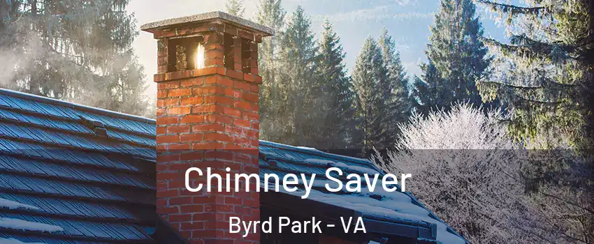 Chimney Saver Byrd Park - VA
