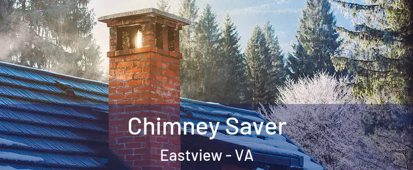 Chimney Saver Eastview - VA