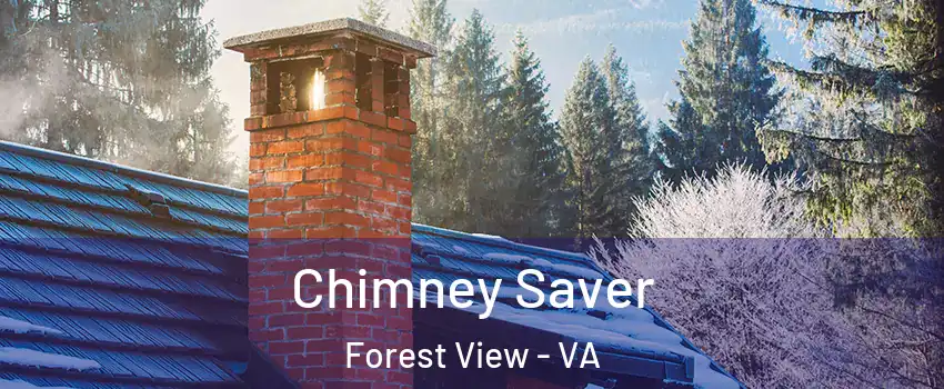 Chimney Saver Forest View - VA