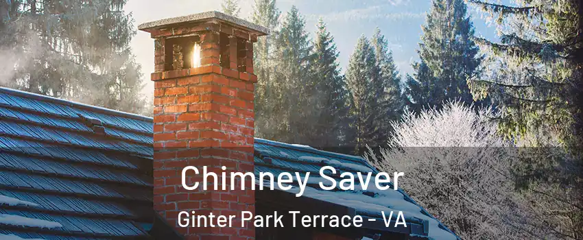 Chimney Saver Ginter Park Terrace - VA