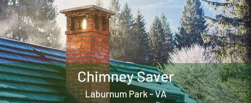Chimney Saver Laburnum Park - VA