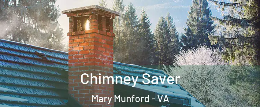 Chimney Saver Mary Munford - VA