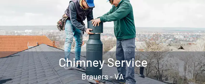 Chimney Service Brauers - VA