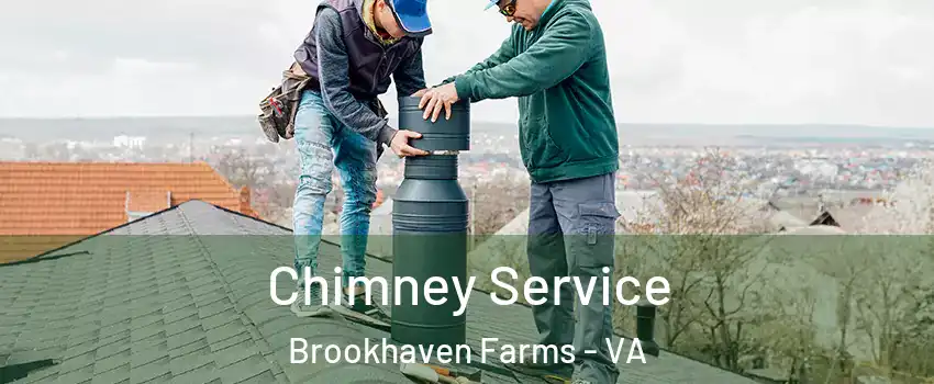 Chimney Service Brookhaven Farms - VA