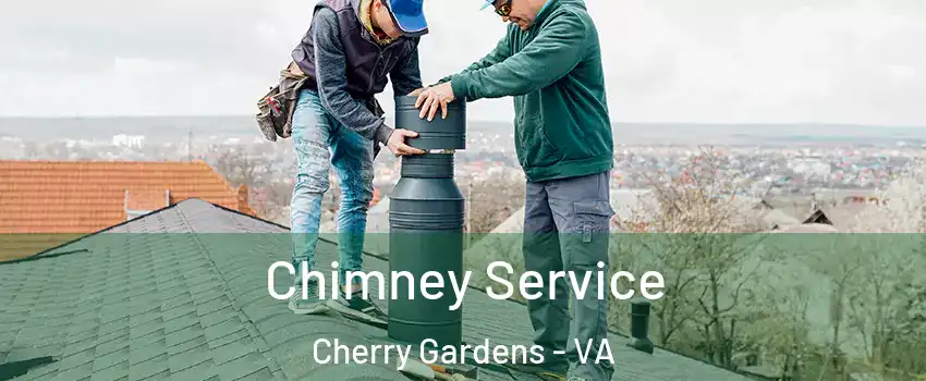 Chimney Service Cherry Gardens - VA