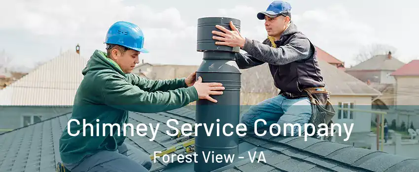 Chimney Service Company Forest View - VA