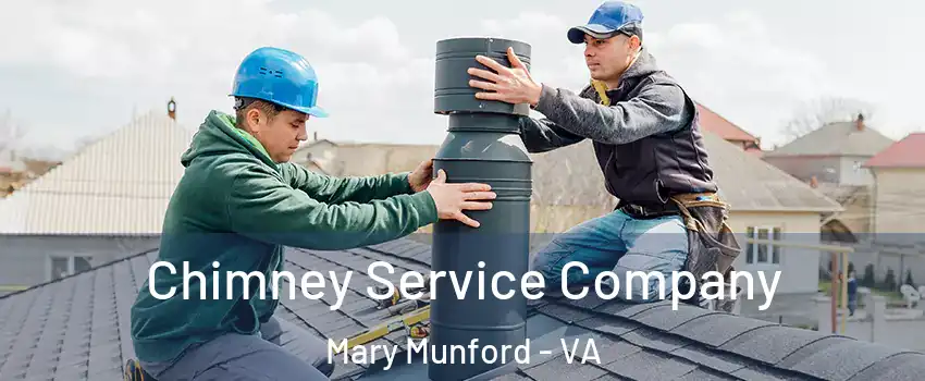 Chimney Service Company Mary Munford - VA