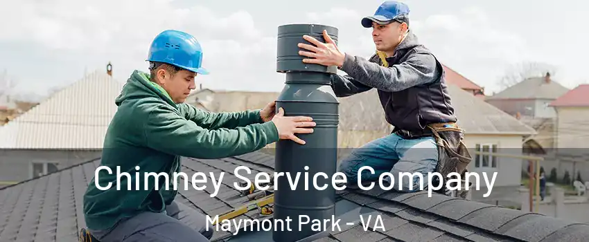 Chimney Service Company Maymont Park - VA