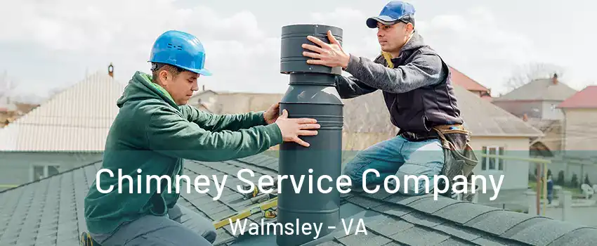 Chimney Service Company Walmsley - VA
