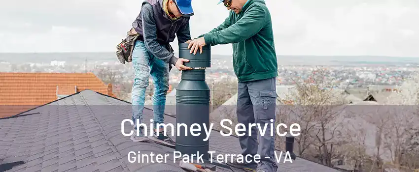 Chimney Service Ginter Park Terrace - VA