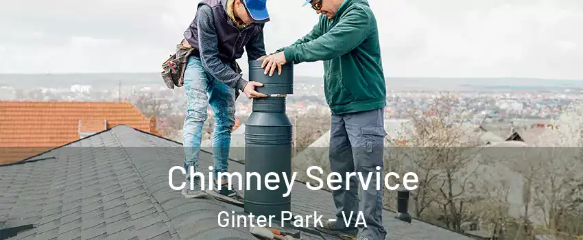 Chimney Service Ginter Park - VA