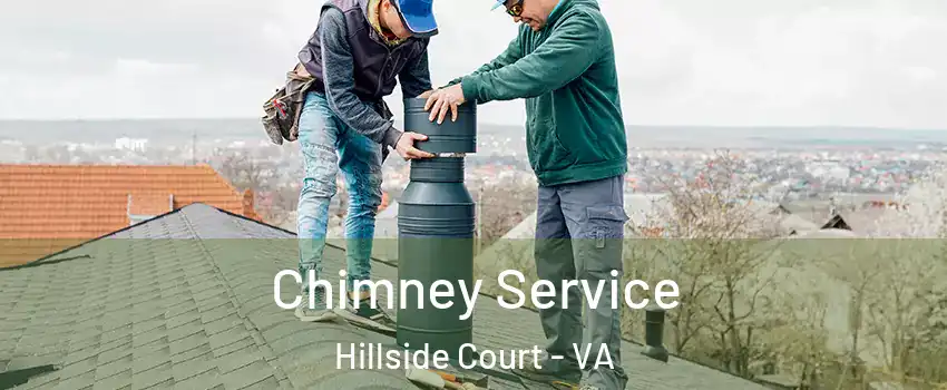 Chimney Service Hillside Court - VA
