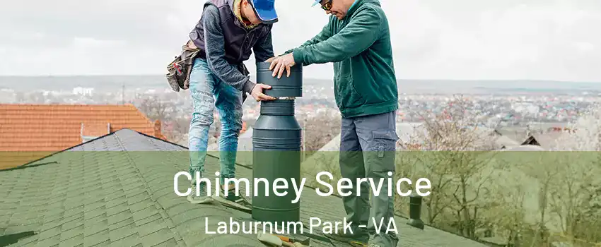 Chimney Service Laburnum Park - VA