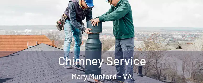 Chimney Service Mary Munford - VA