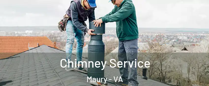 Chimney Service Maury - VA