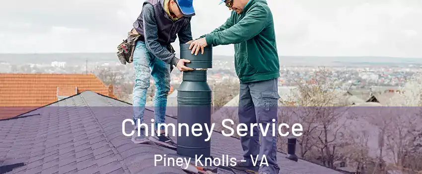 Chimney Service Piney Knolls - VA
