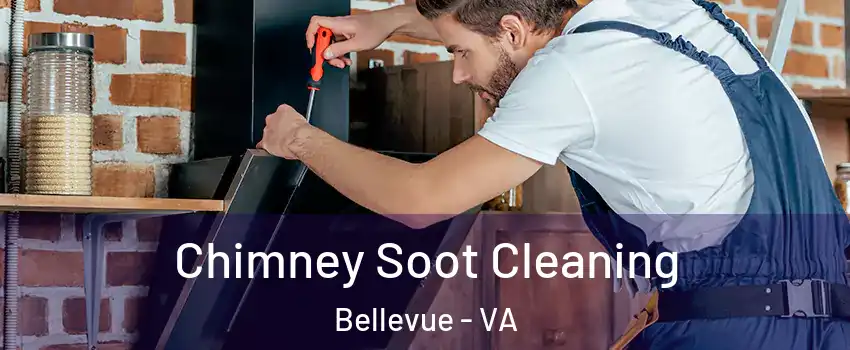 Chimney Soot Cleaning Bellevue - VA