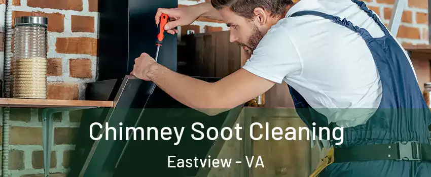 Chimney Soot Cleaning Eastview - VA