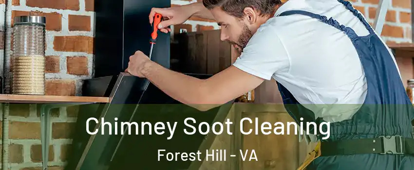 Chimney Soot Cleaning Forest Hill - VA
