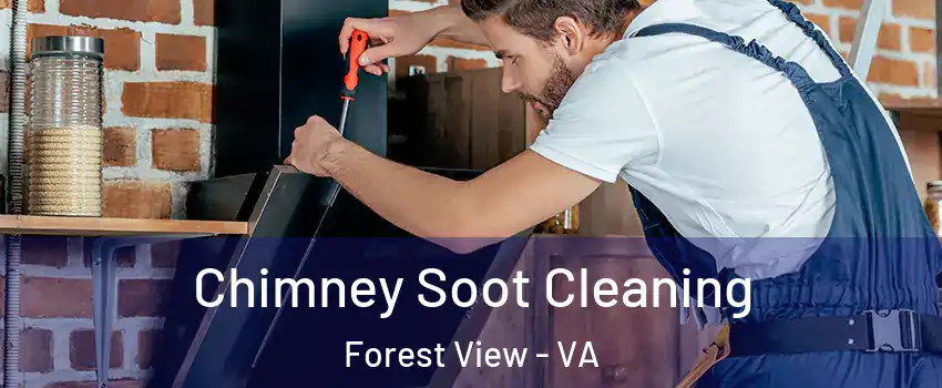 Chimney Soot Cleaning Forest View - VA