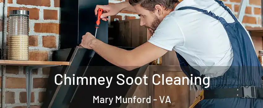 Chimney Soot Cleaning Mary Munford - VA