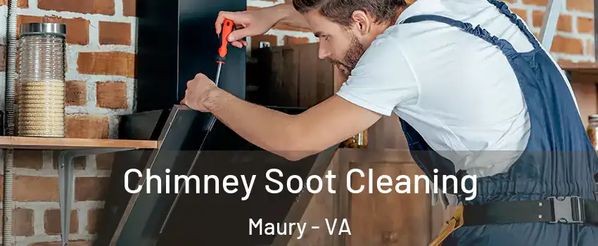 Chimney Soot Cleaning Maury - VA