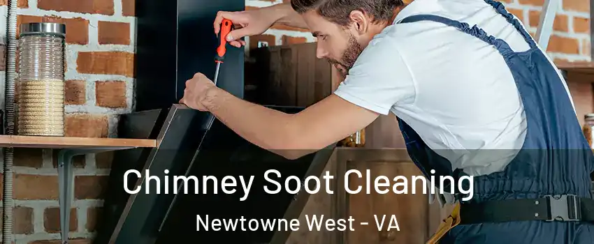 Chimney Soot Cleaning Newtowne West - VA