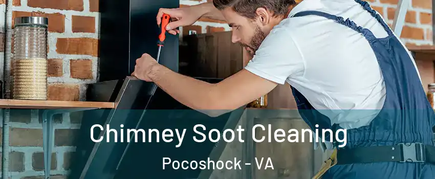 Chimney Soot Cleaning Pocoshock - VA