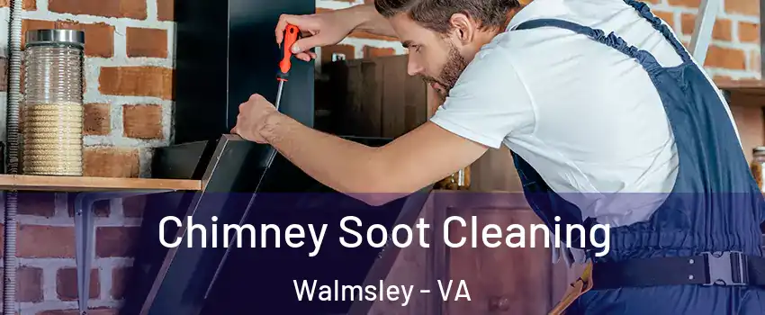 Chimney Soot Cleaning Walmsley - VA
