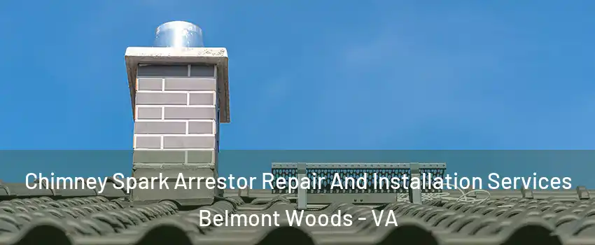 Chimney Spark Arrestor Repair And Installation Services Belmont Woods - VA