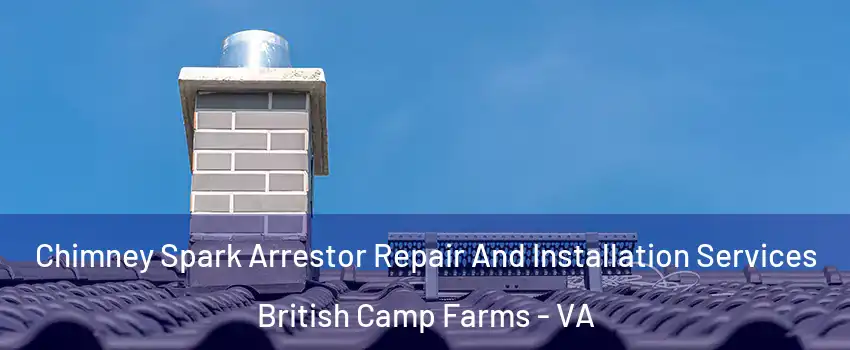 Chimney Spark Arrestor Repair And Installation Services British Camp Farms - VA