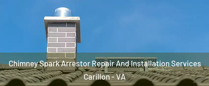 Chimney Spark Arrestor Repair And Installation Services Carillon - VA