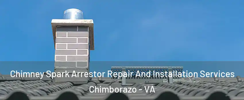 Chimney Spark Arrestor Repair And Installation Services Chimborazo - VA