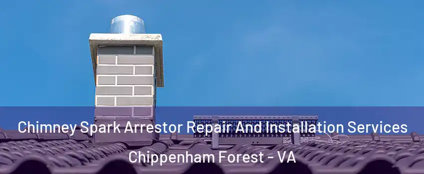 Chimney Spark Arrestor Repair And Installation Services Chippenham Forest - VA