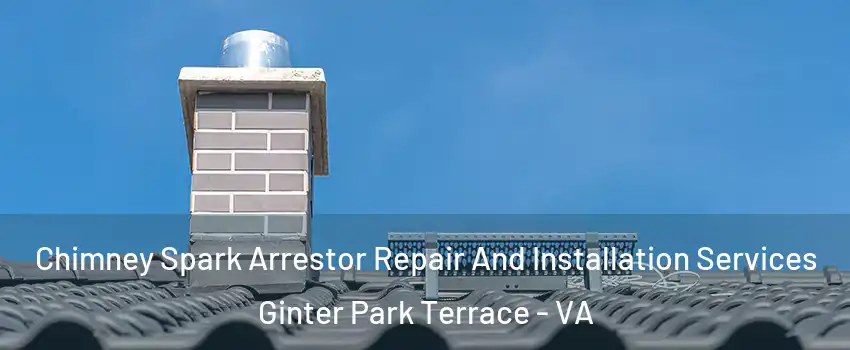 Chimney Spark Arrestor Repair And Installation Services Ginter Park Terrace - VA