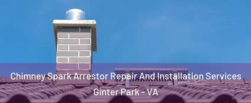 Chimney Spark Arrestor Repair And Installation Services Ginter Park - VA