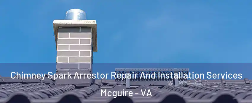 Chimney Spark Arrestor Repair And Installation Services Mcguire - VA