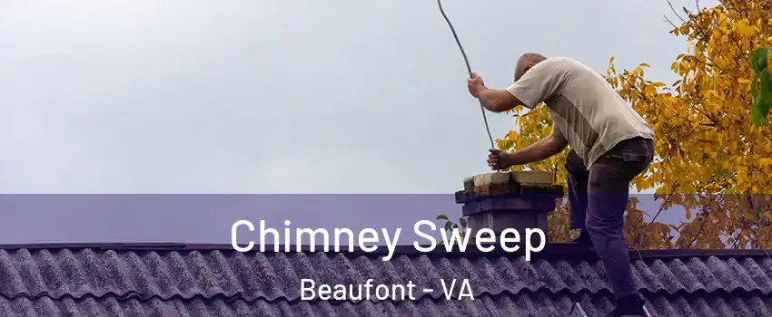 Chimney Sweep Beaufont - VA