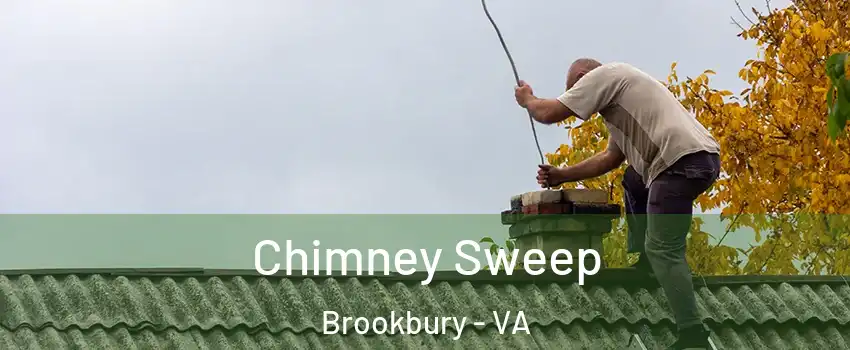 Chimney Sweep Brookbury - VA