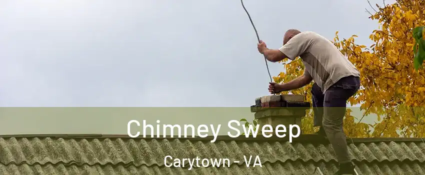 Chimney Sweep Carytown - VA