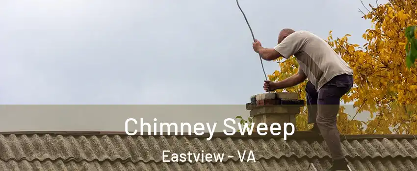 Chimney Sweep Eastview - VA